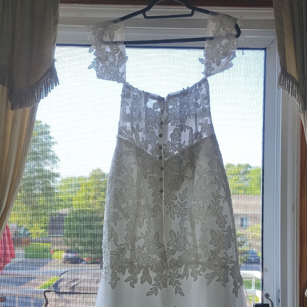 Wedding Dress - Picture 4 of 11